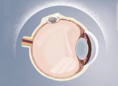 鸿运国际·(中国)最新官方网站