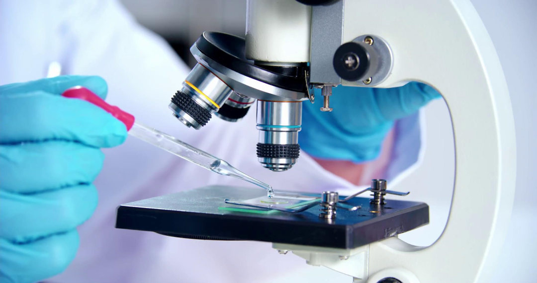 鸿运国际·(中国)最新官方网站