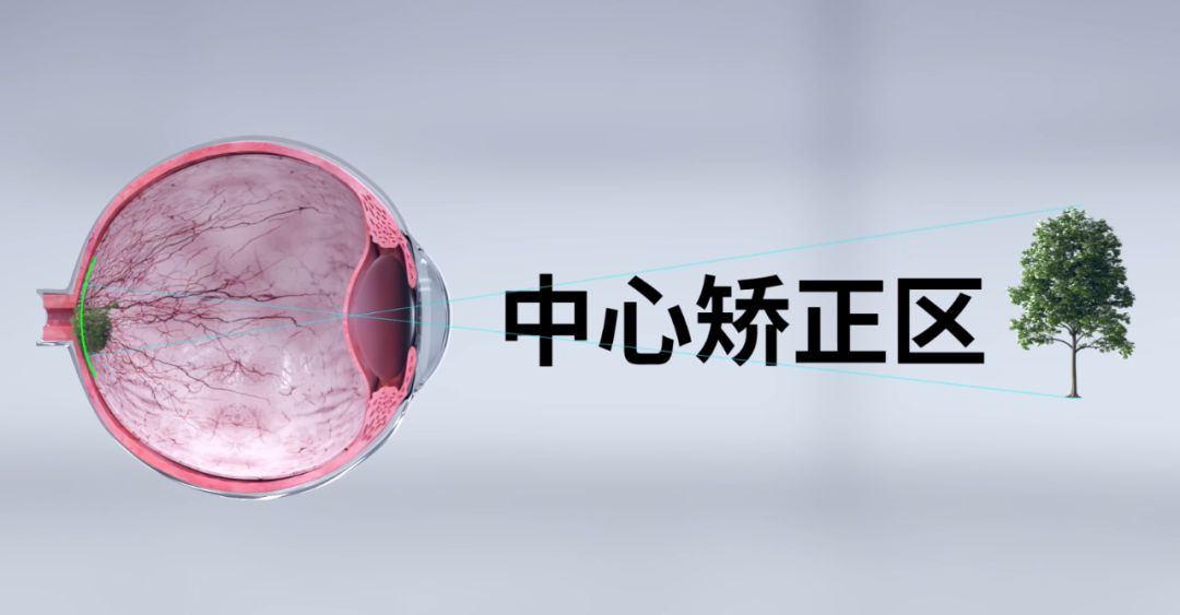 鸿运国际·(中国)最新官方网站