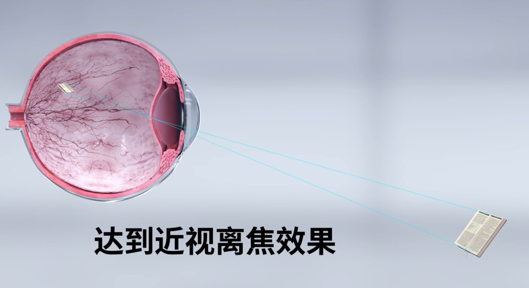 鸿运国际·(中国)最新官方网站